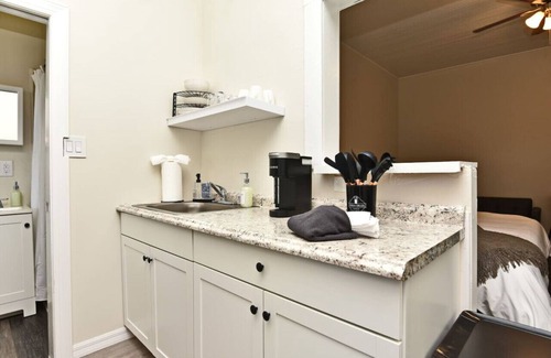 Winter Garden Apartment | Large Studio Apartment Downtown