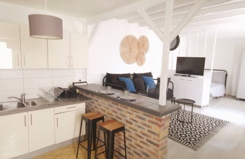 Maisons-Alfort Apartment | Large studio near Paris with terrace