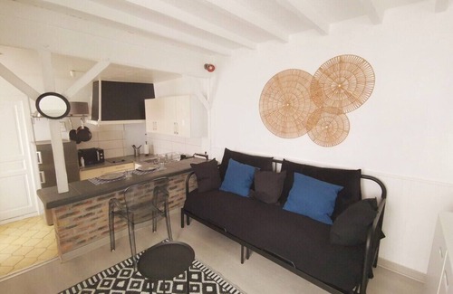 Maisons-Alfort Apartment | Large studio near Paris with terrace