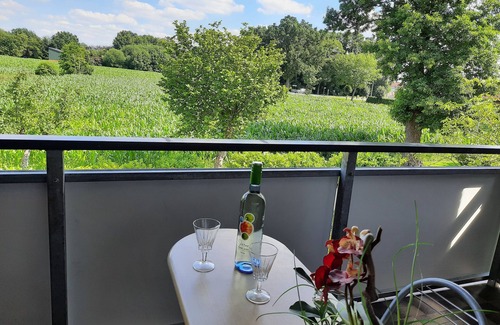 Friesoythe Apartment | Large vacation apartment with box-spring beds and balcony in Friesoythe