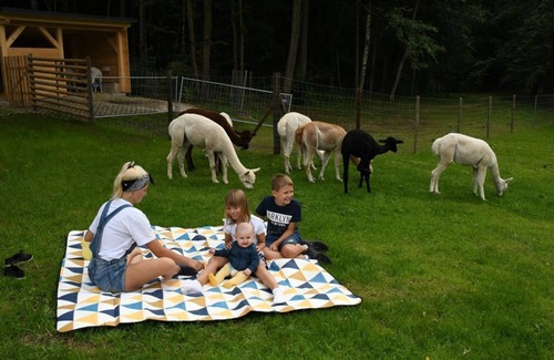 Taura Apartment | Large vacation apartment - Alpacas in the Chemnitz Valley