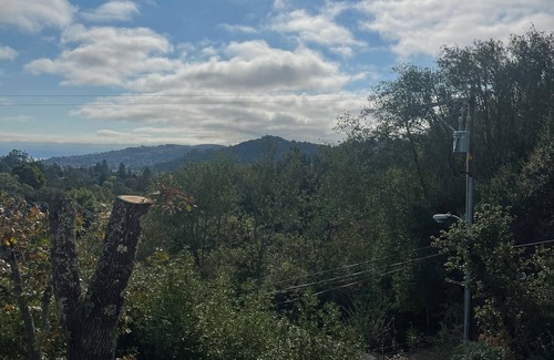 Larkspur House | Larkspur, walk to town , loft style , great views