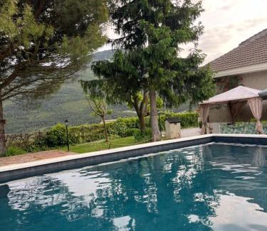 Arguis Villa | LAS AMAPOLAS