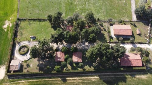 Bayubas de Abajo House | Las Casitas del Pinar