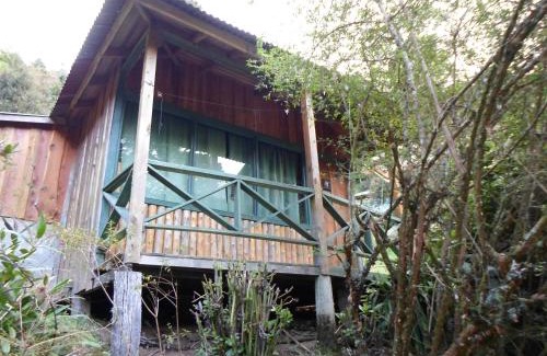 Copey Hotel | Las Cataratas Lodge