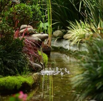 Zunil Hotel | Las Cumbre Hotel & Spa Termal