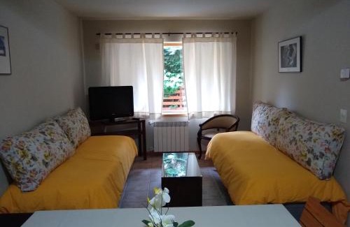 Lanin National Park Apartment | Las Golondrinas