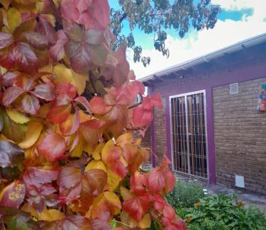 La Consulta Apartment | Las Hortensias-monoambiente