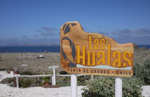 Punta de Choros Cabin | Las Hualas