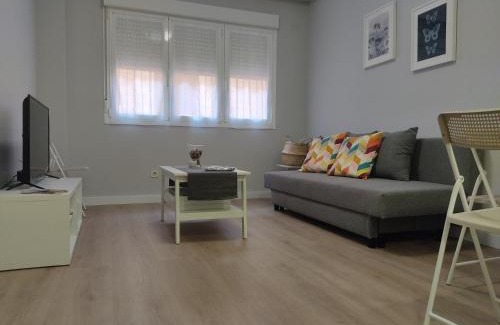 Anguiano Apartment | Las Ildas