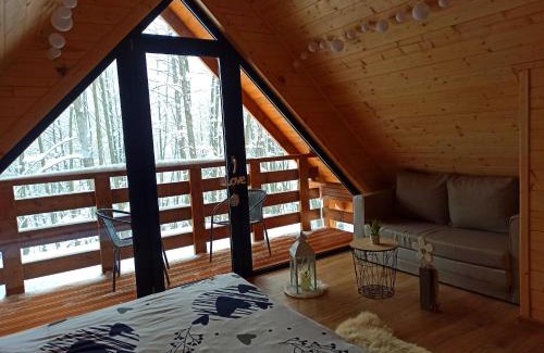 Andrychow House | Las Lorien - wynajem domków letniskowych