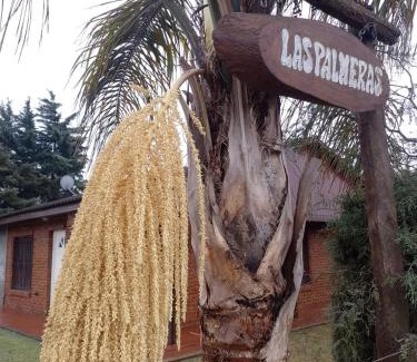 Villa Lia House | Las palmeras