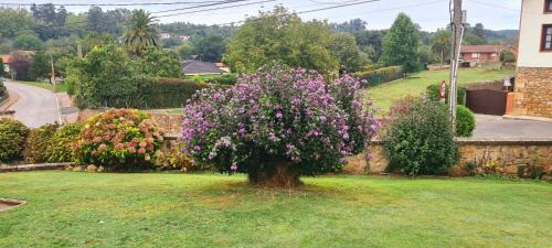 Alfoz de Lloredo House | Las Parientucas