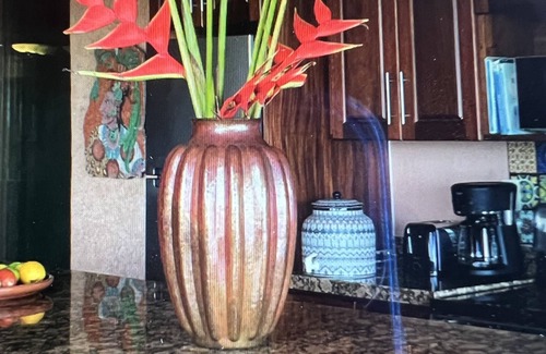 Ixtapa - Zihuatanejo Condo | Last minute cancellation Jan 24-Feb 7, 2026 at La Casa Que Ve al Mar.