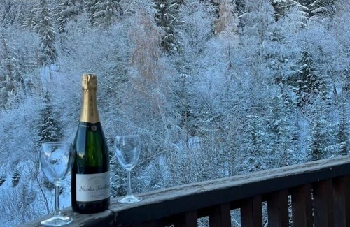 La Perriere Apartment | LaTaniaCourcheval SAUNA SKI INOUT Sleep 8 2 BR +mezanine 2 Bath Panoramic views