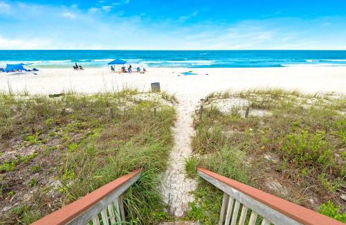 Fort Bay Apartment | Latitude 29 #4