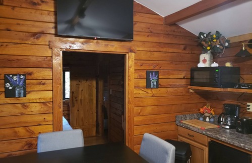 Jones Mills Cabin | Laurel Highland Resort Retreat
