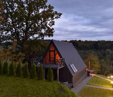 Mykolaiv Ski Chalet | Lav inn Polyanna