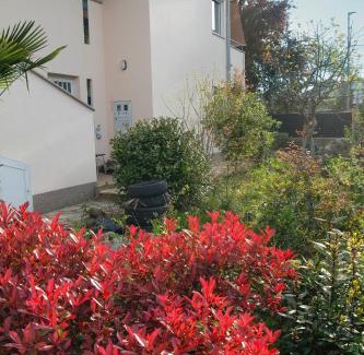 Milcetici Apartment | LAVANDA Apartman