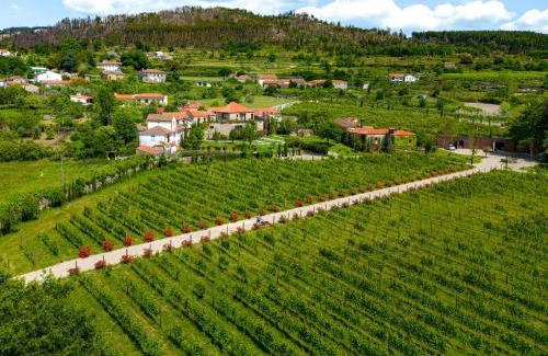 Ancede House | Lavandeira Douro Nature & Wellness