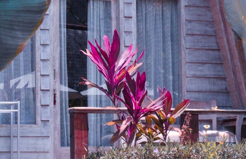 Kuta Hotel | LAVELLA VILLAS AND HOTEL