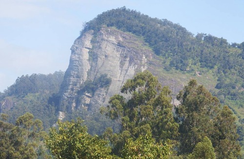 Wundanyi Hotel | Lavender Garden Hotel