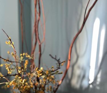 Florina Apartment | Lavender house