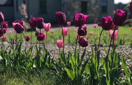 Roscoe Apartment | Lavender Lane Country cottage , Furbo