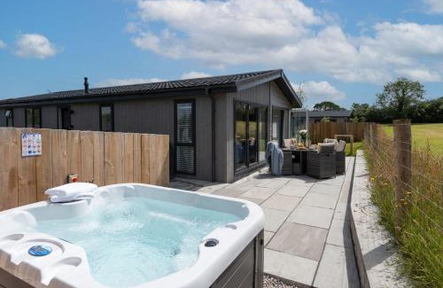 Lifton House | Lavender Lodge, 8 Roadford Lake Lodges