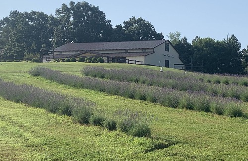 Greenbrier Other | Lavender Loft at Jamestown Ranch