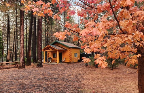 Forest Ranch Cottage | Lavender Log Home Cottage