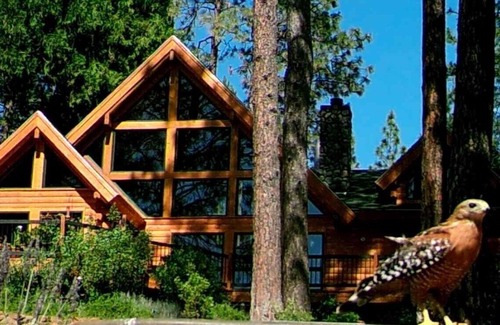 Forest Ranch Cottage | Lavender Log Home Cottage