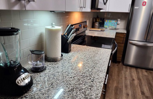 Duluth Apartment | Lavish Apartment near Atlanta