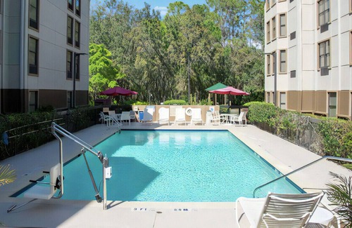 Bearss Plaza House | Lavish King Experience! Free Breakfast & WiFi