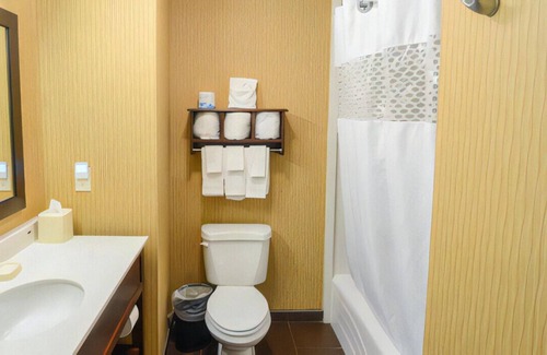 Bearss Plaza House | Lavish King Experience! Free Breakfast & WiFi