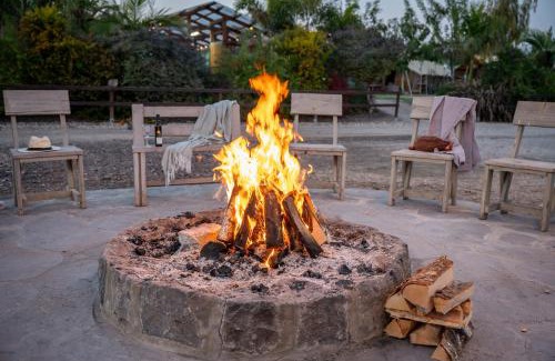 Nir David Other | Layla Glamping