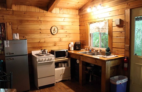 Logan Cabin | Lazy Lane Cabins - Wren's Nest