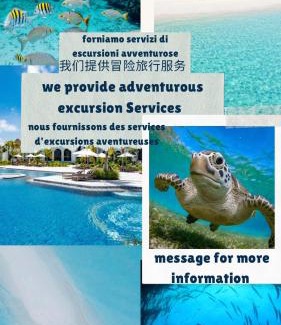 Farukolhufushi Island Apartment | Lazzlla beachside studio apartments