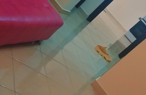 Imi Ouaddar Apartment | Lbaraka residence