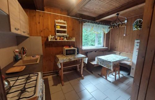 Wilga House | Leśna chatka