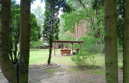 gmina Wieliszew Ski Chalet | Leśniczówka