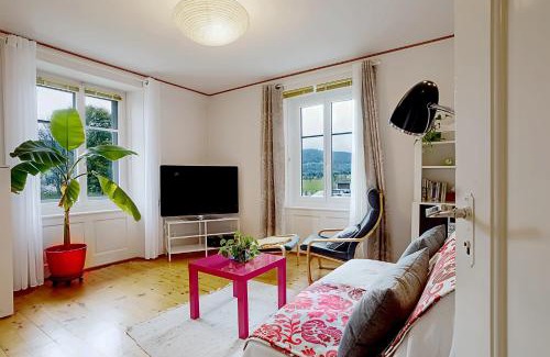 Le Solliat Apartment | Le bananier sur le lac avec terrasse et parking privé