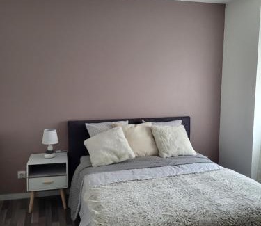 Oyonnax Apartment | Le bel'air appartement chaleureux et calme oyonnax