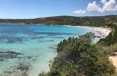 Santa Giulia Apartment | Le Berceau d'Asciaghju Palombaggia - Accès plage et Piscine privée