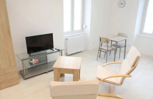 Luxeuil-les-Bains Apartment | Le Briand - Studio 1