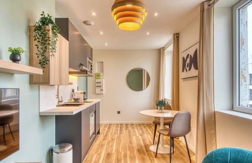 5th Arrondissement Apartment | Le Cèdre Bleu - Bel appart climatisé quartier point du jour Lyon 5