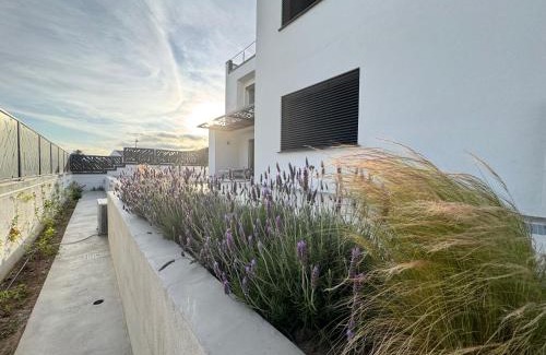 Olbia House | Le Calendule
