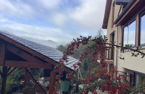 Florentin-la-Capelle Bed & Breakfast | le casino