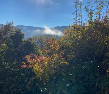 Florentin-la-Capelle Bed & Breakfast | le casino