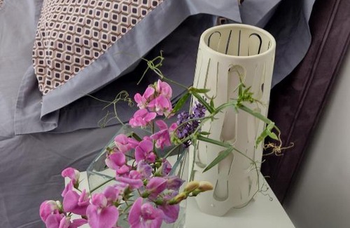 Olivet Bed & Breakfast | Le Chêne Olivet